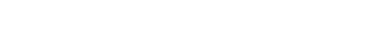 Logo Icon